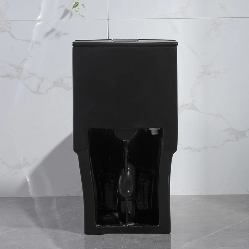 F&D One Pc Toilet 6006-MB ADA Height - Image 3