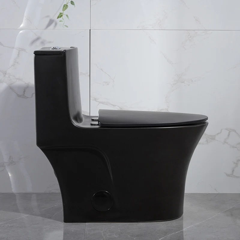 F&D One Pc Toilet 6006-MB ADA Height - Image 4