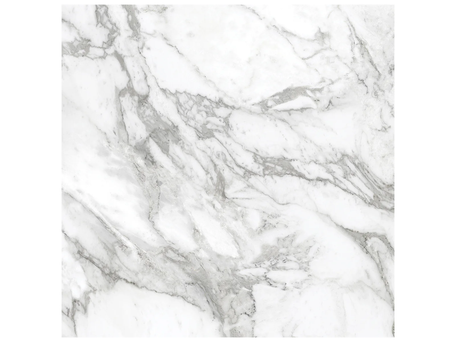 Anatolia La Marca-Arabescato 12x24 & 24x24 @6.00/sf and 24x48 @7.75/sf - Image 6