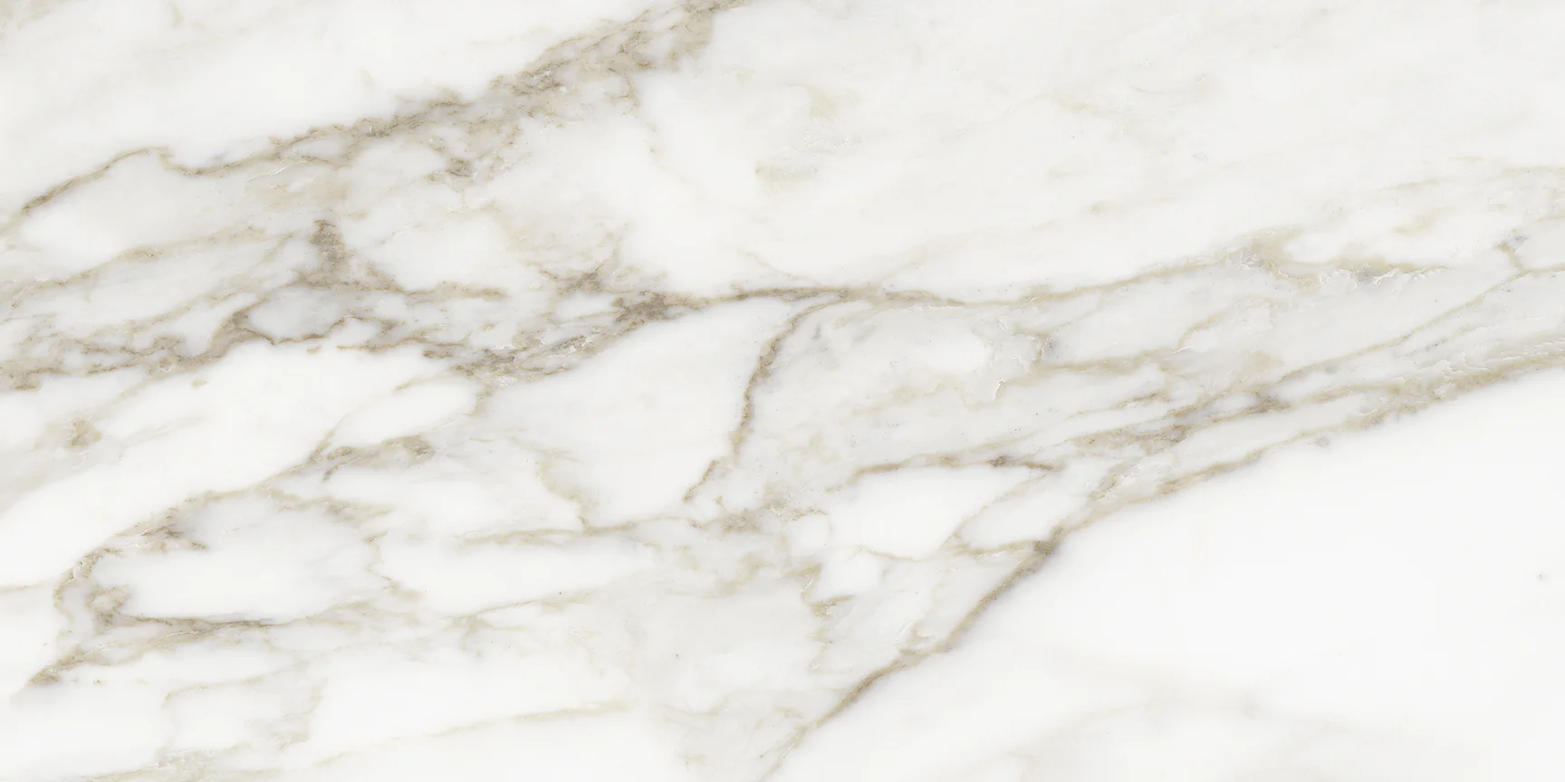 Anatolia La Marca Calacatta Paonazzo 12x24 & 24x24 @6.00/sf and 24x48 @7.75/sf - Image 4