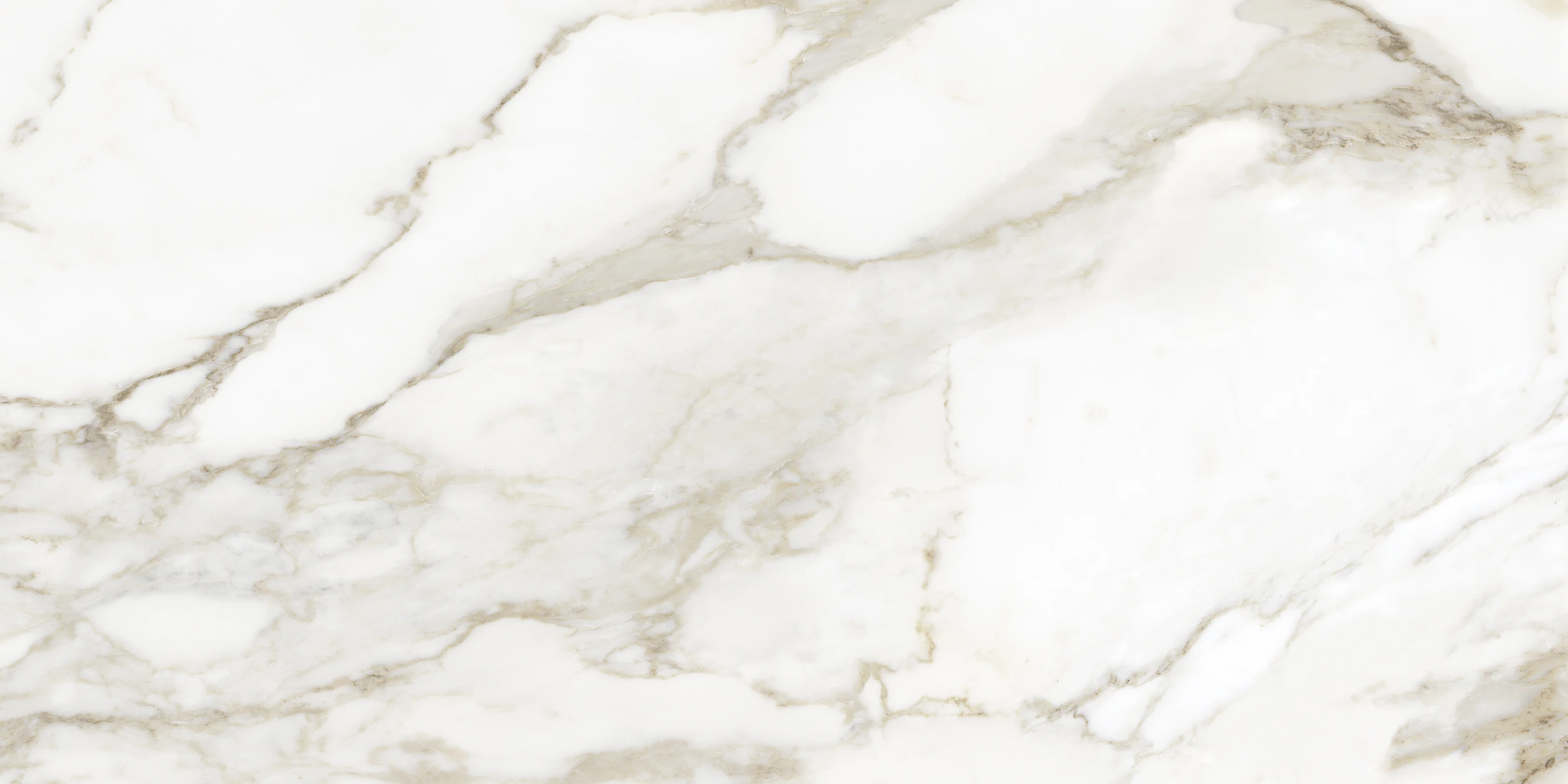 Anatolia La Marca Calacatta Paonazzo 12x24 & 24x24 @6.00/sf and 24x48 @7.75/sf - Image 5