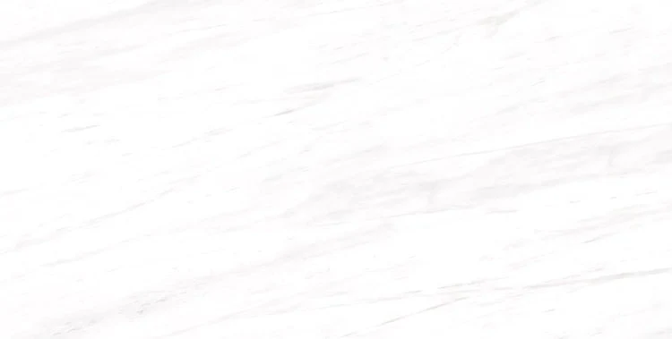 Dolomite Rectified Porcelain Tile 24x48 @6.00/sf - Image 3