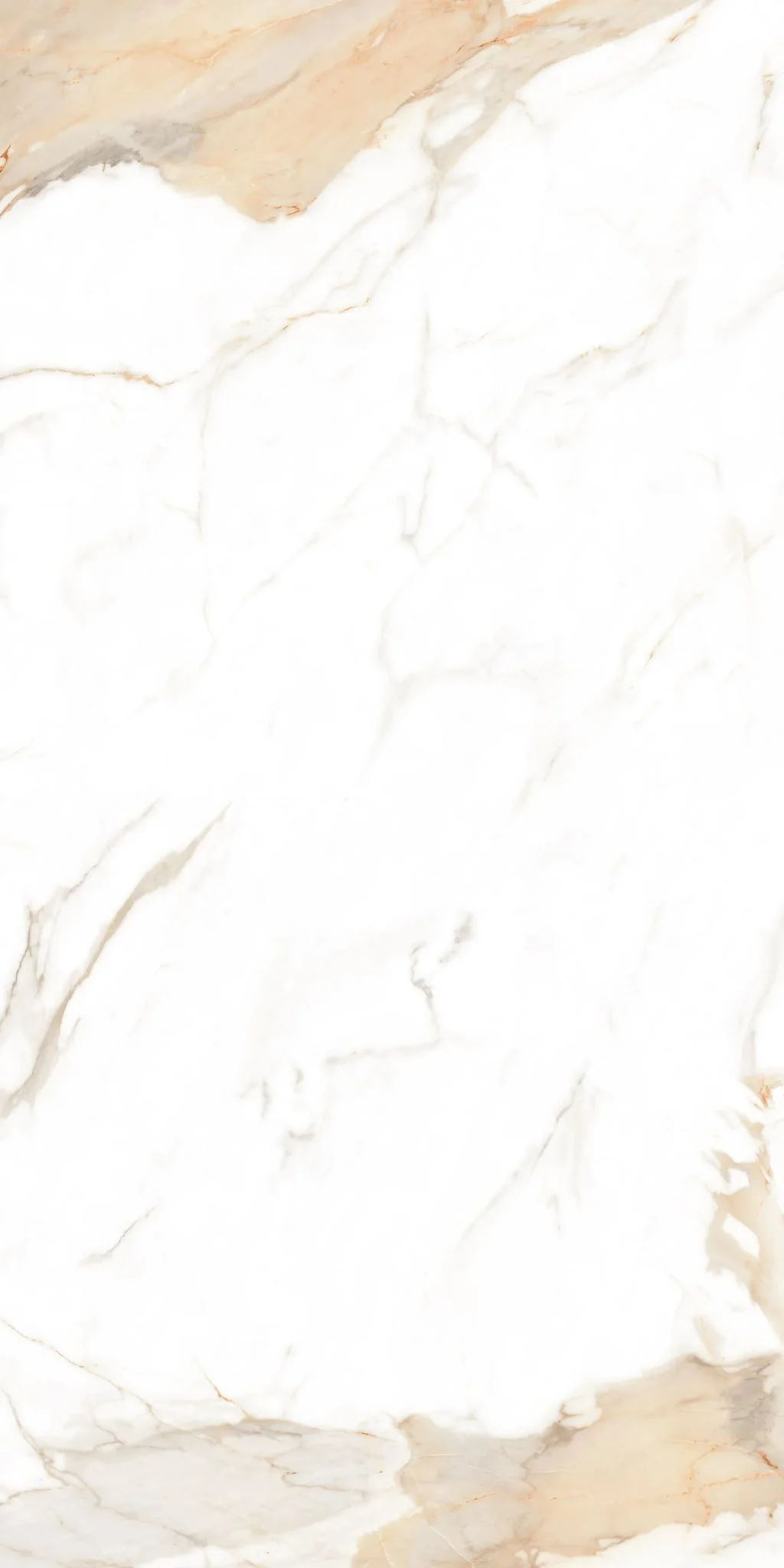 F&D Aurora Gold 12"x24" & 24"x24" @2.99/sf 24"x48" @3.99/sf - Image 3