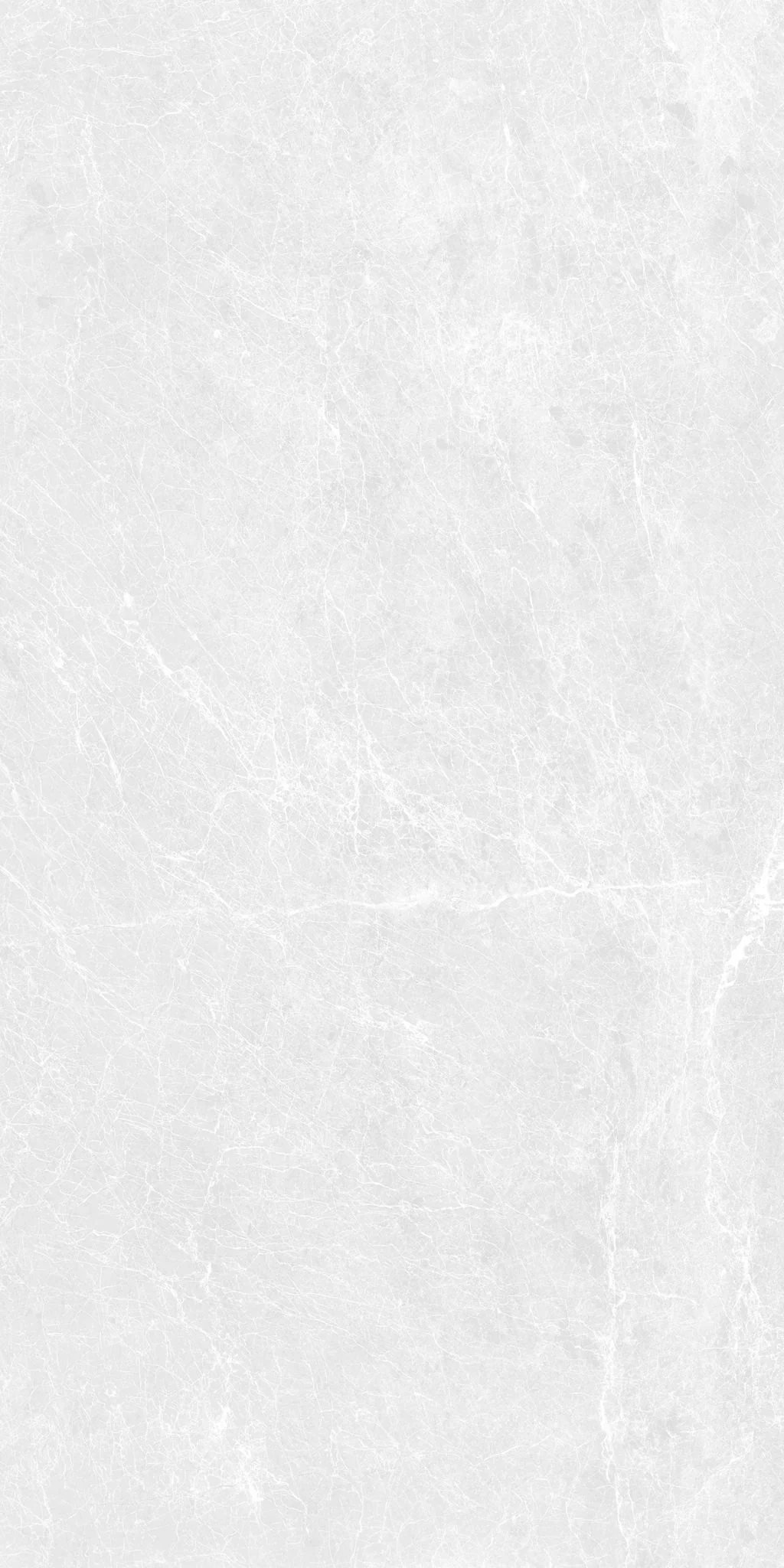 F&D Dove scales 12"x24" & 24"x24" @2.99/sf 24"x48" @3.99/sf