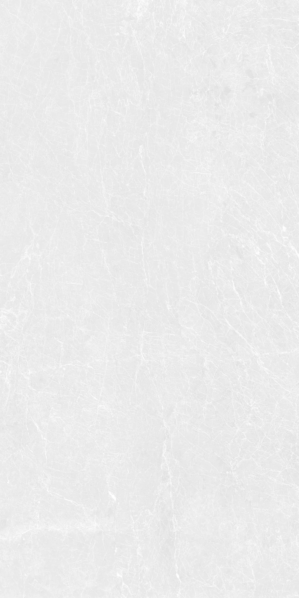 F&D Dove scales 12"x24" & 24"x24" @2.99/sf 24"x48" @3.99/sf - Image 2