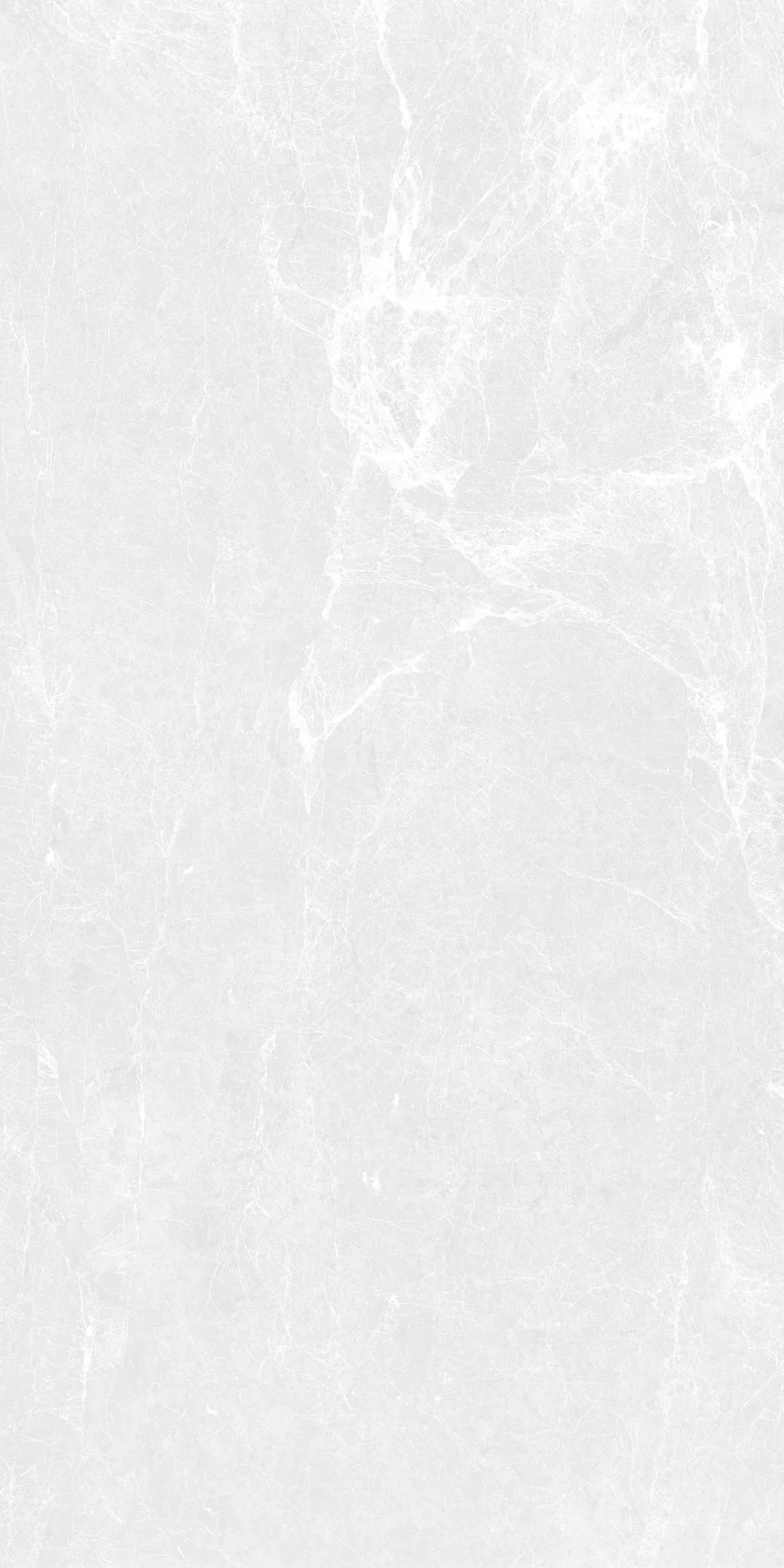 F&D Dove scales 12"x24" & 24"x24" @2.99/sf 24"x48" @3.99/sf - Image 3