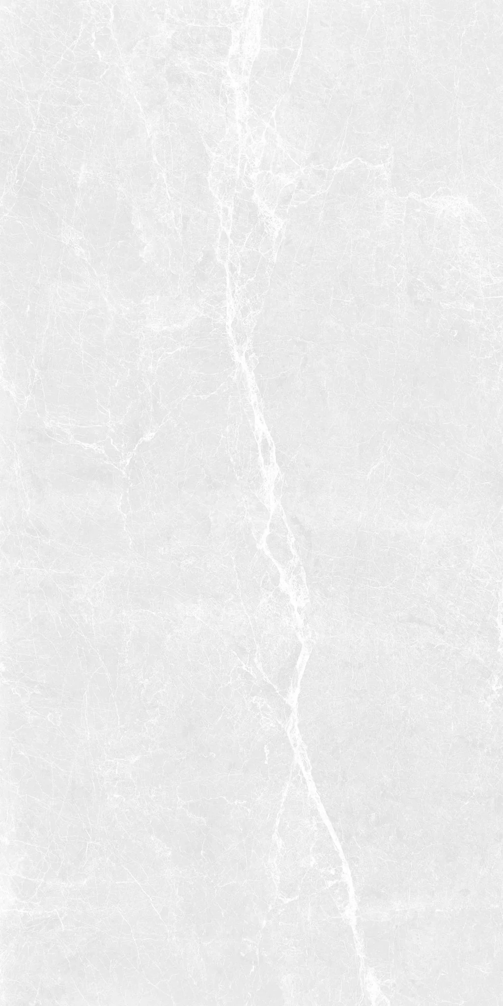 F&D Dove scales 12"x24" & 24"x24" @2.99/sf 24"x48" @3.99/sf - Image 4