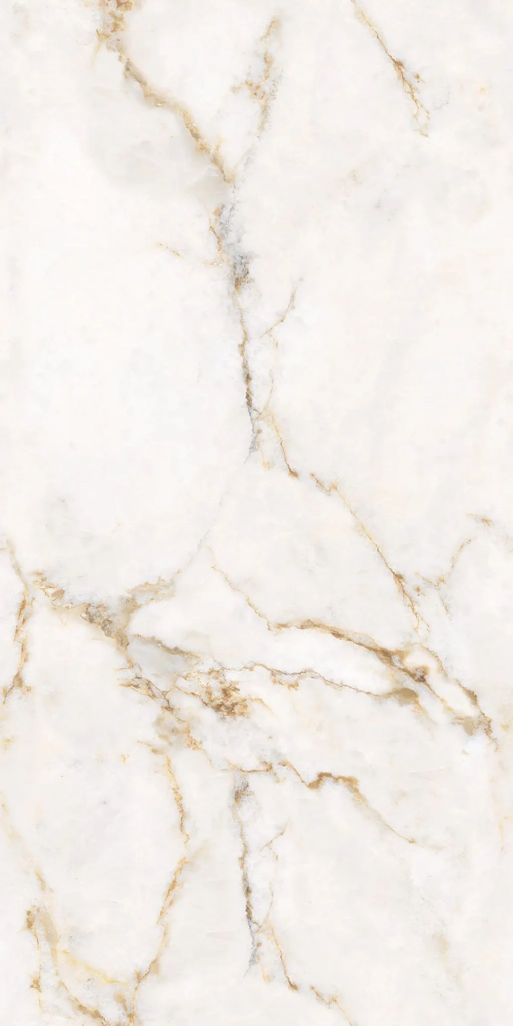 F&D Claret Beige 24" x 48" @4.99/sf - Image 2