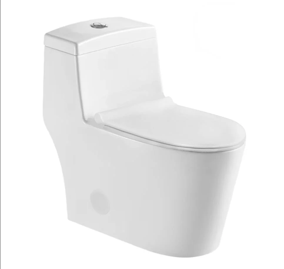 F&D One Pc Toilet 6012 - Image 3