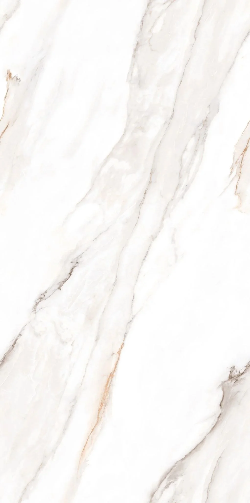 F&D Senso White 24" x 48" @4.99/sf - Image 3