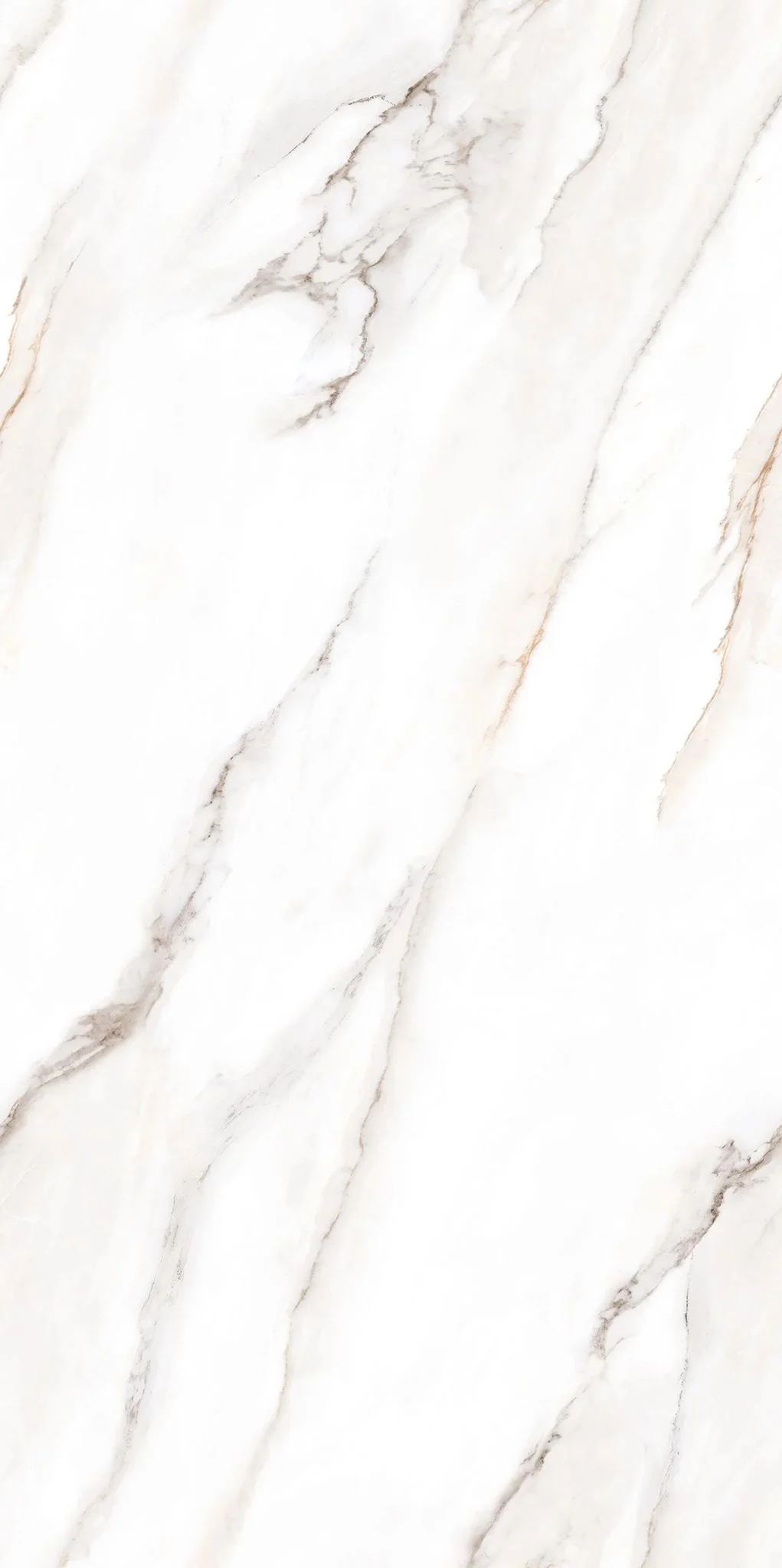 F&D Senso White 24" x 48" @4.99/sf - Image 5