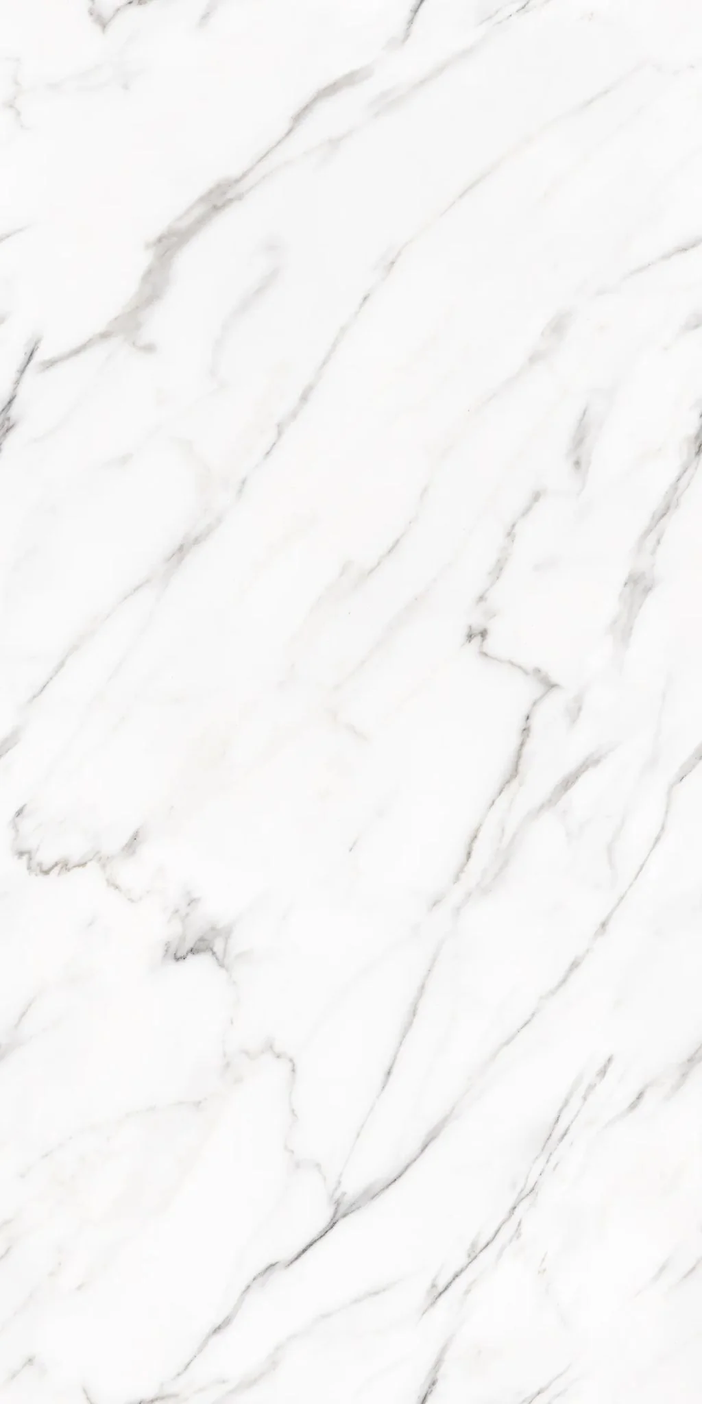 F&D Statuario Milano 24" x 48" @4.99/sf