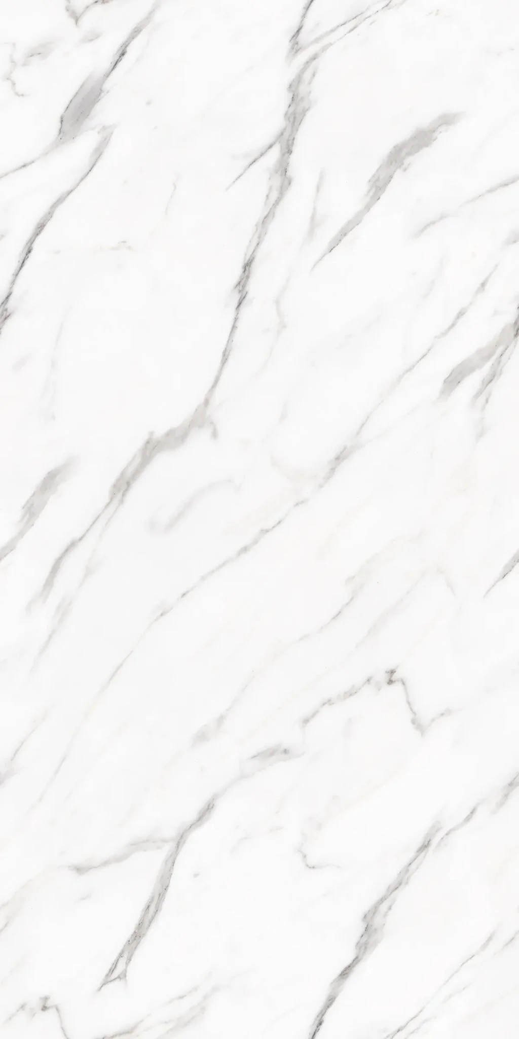 F&D Statuario Milano 24" x 48" @4.99/sf - Image 6