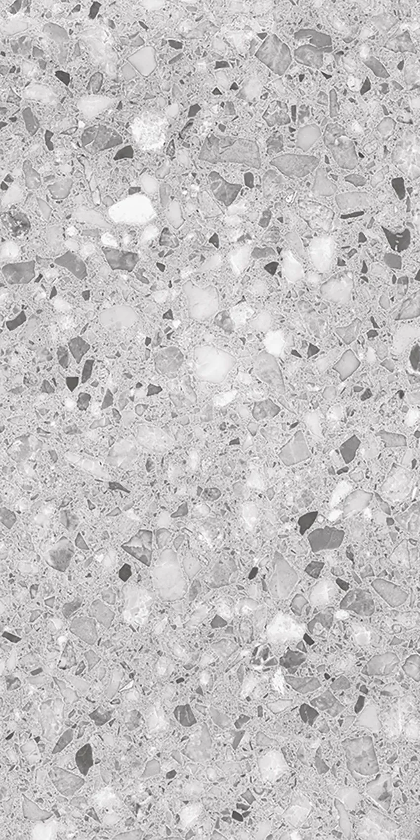 F&D Terra Grey 12"x24" & 24"x24" @2.99/sf 24"x48" @3.99/sf - Image 3