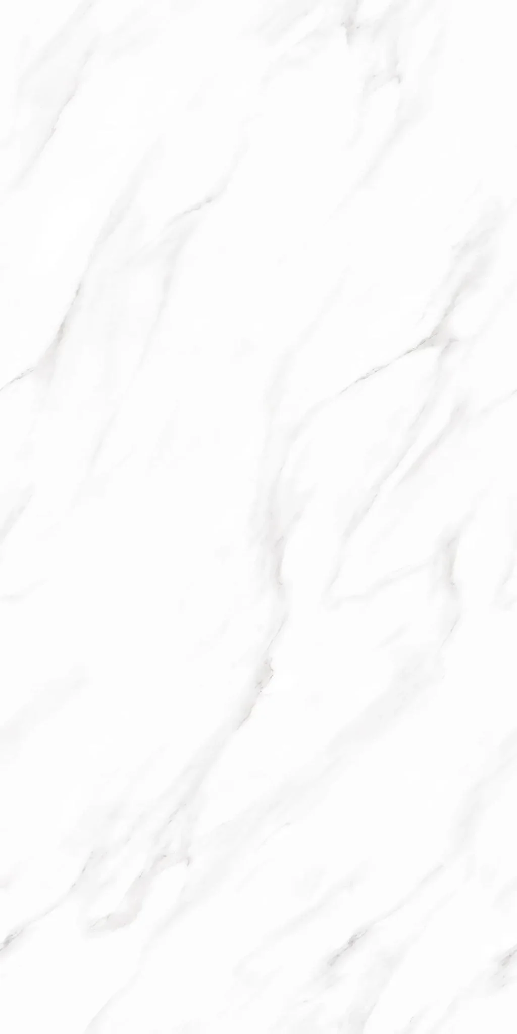F&D Vega Statuario 24" x 48" @4.99/sf - Image 6