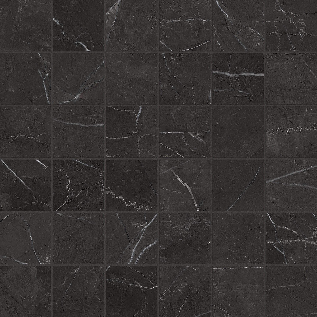 Anatolia La Marca Nero Venato 12x24 & 24x24 @6.00/sf and 24x48 @7.75/sf - Image 6