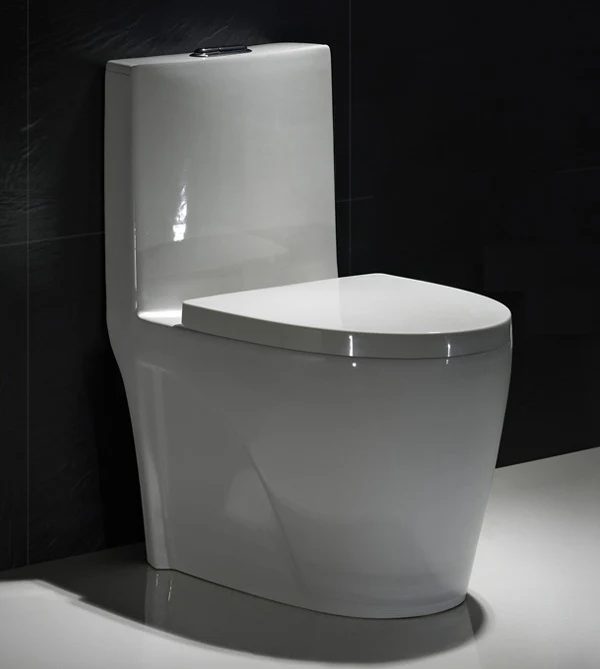 F&D One- Piece Toilet 6008 ADA Height - Image 3