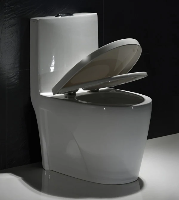 F&D One- Piece Toilet 6008 ADA Height - Image 5