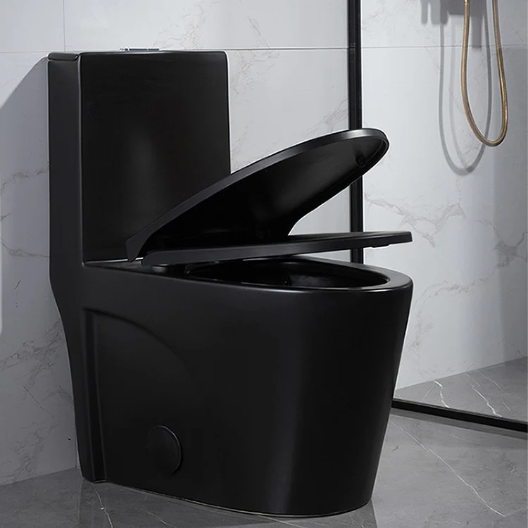 F&D One- Piece Toilet With Elongated Bowl Black 6005Mb - Image 3