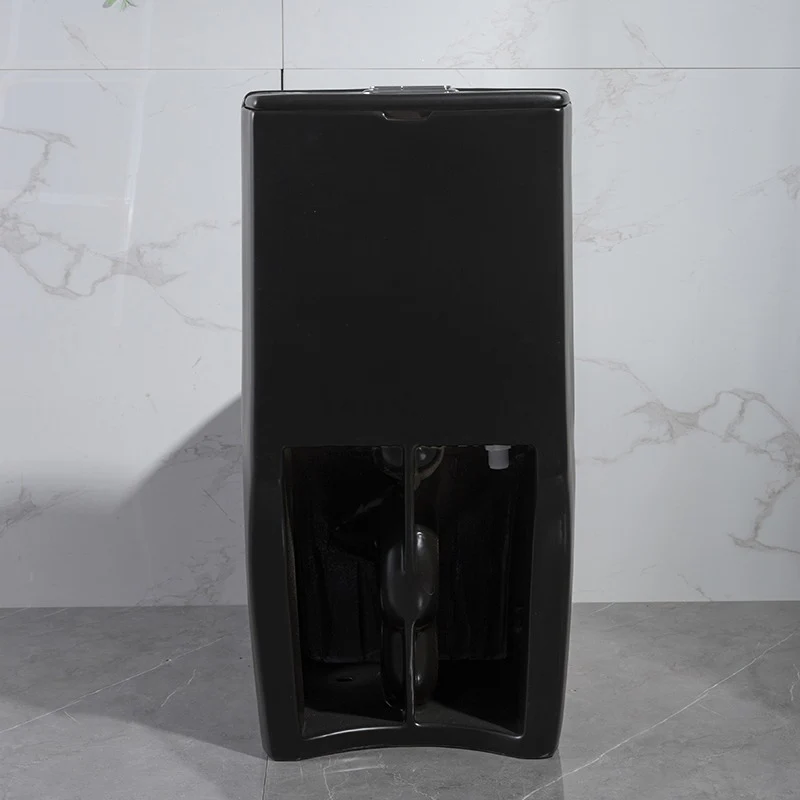 F&D One- Piece Toilet With Elongated Bowl Black 6005Mb - Image 4